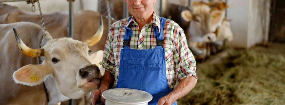 Landwirtschaft vererben in Österreich - So vererben sie richtig